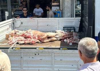 Adana'da kaçak ve usulsüz hayvan kesimine 148 bin 997 lira ceza