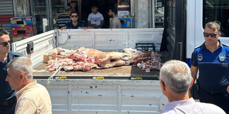 Adana'da kaçak ve usulsüz hayvan kesimine 148 bin 997 lira ceza