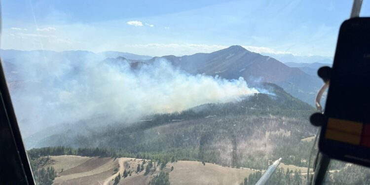 Adana'nın Feke ilçesinde orman yangını