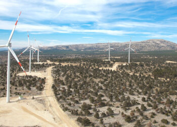 Akfen Yenilenebilir Enerji'nin ilk çeyrek kârı açıklandı