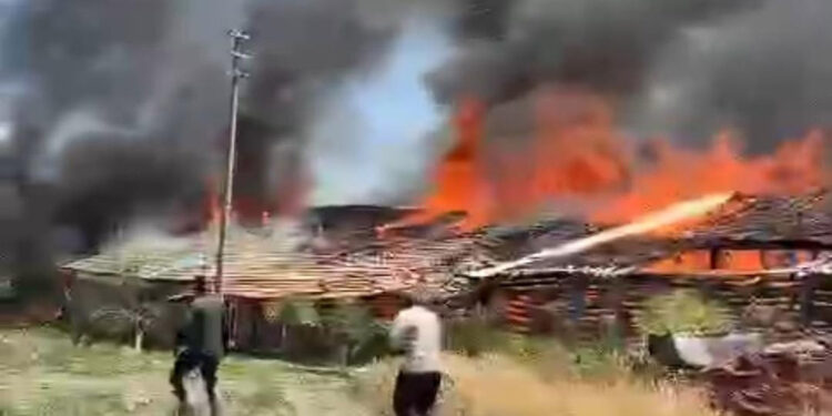 Ankara'da ahır yangını; 12 büyükbaş öldü