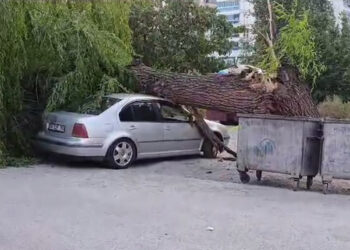 Ankara'da kuvvetli rüzgar; ağaç devrildi, 4 araç hasar gördü