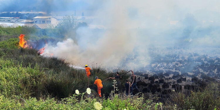 Antalya'da orman yangını