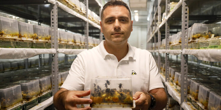 Antalya'dan 25 ülkeye 'bombus arısı’ ihracatı 