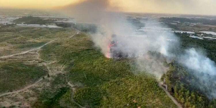 Antalya'nın Aksu ilçesinde orman yangını