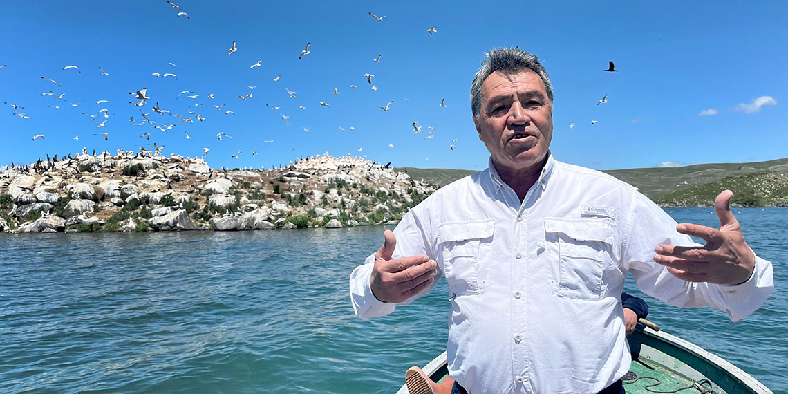 Ardahan'daki Çıldır Gölü, kuş cennetine döndü