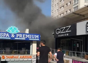 Avcılar'da pet shopta yangın