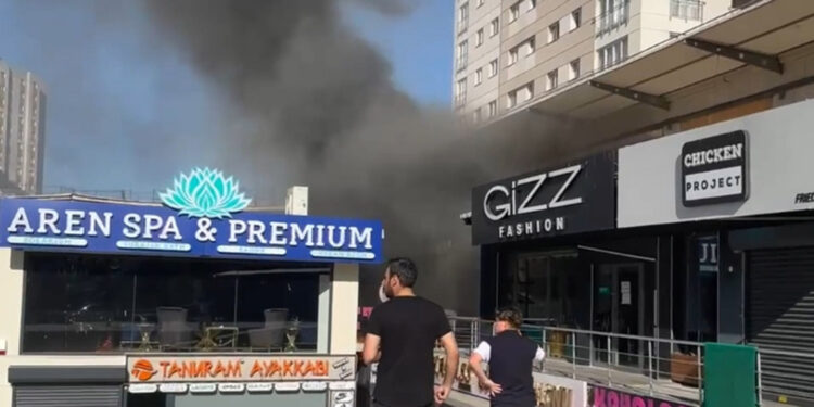 Avcılar'da pet shopta yangın