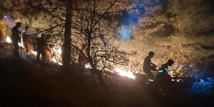 Aydın'da dün gece çıkan orman yangını 6 saatte söndürüldü