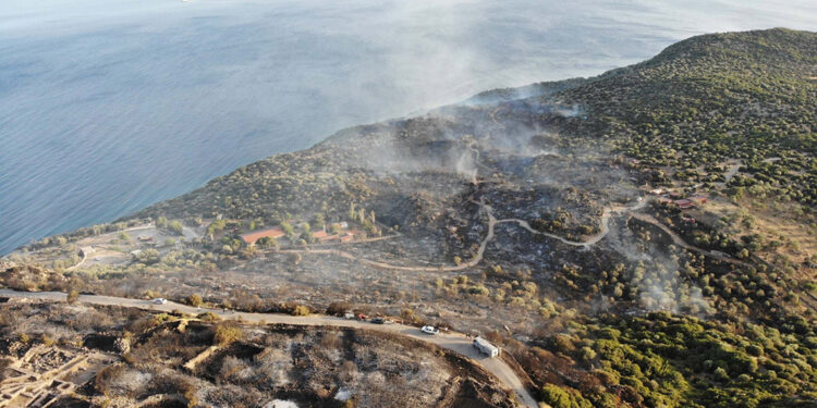 Ayvacık'taki yangında 31 hektar alan zarar gördü