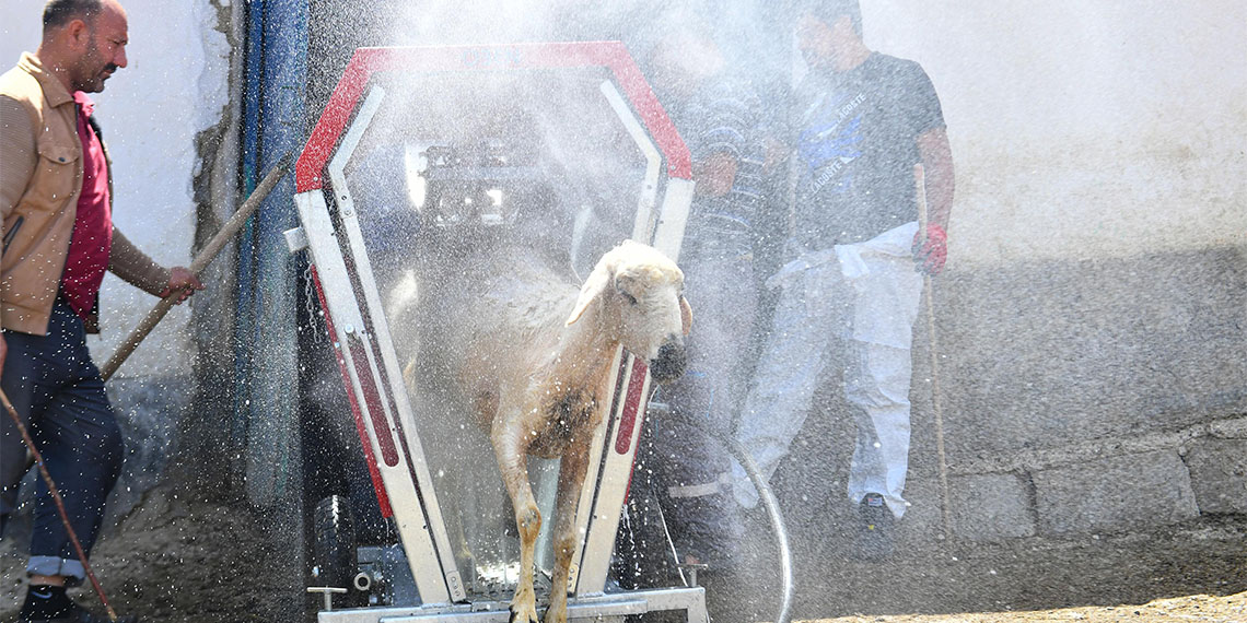 Hayvan yetiştiricilerine 'Küçükbaş Hayvan Yıkama Makinesi' desteği