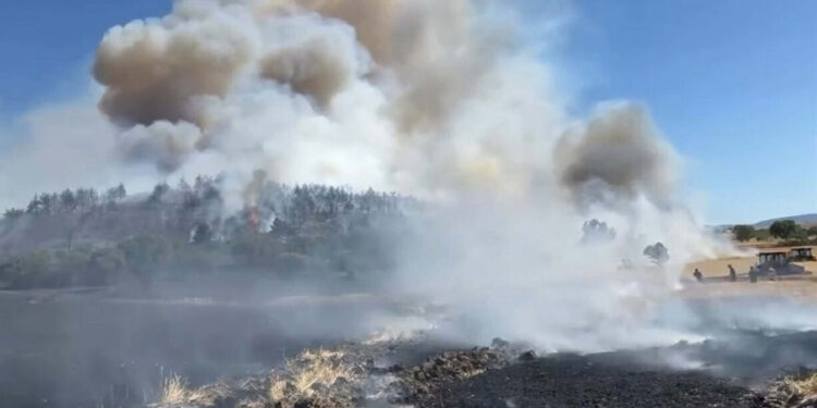 Balıkesir'de anız yangını