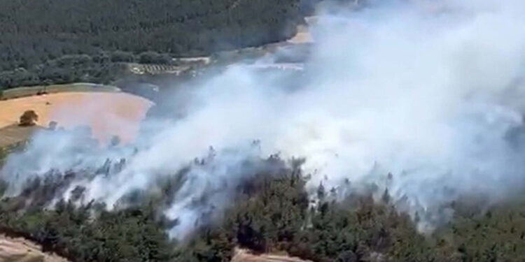 Balıkesir'de arazide çıkan yangın ormana sıçradı