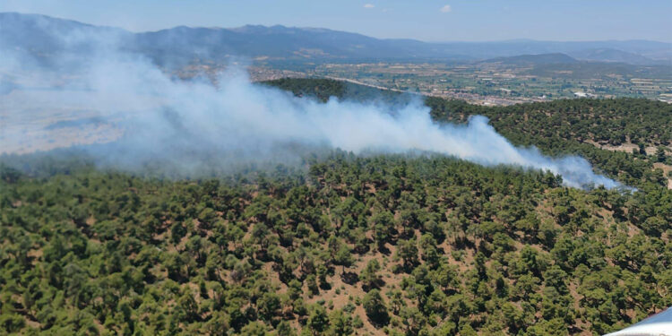 Ormanlarımız yanıyor