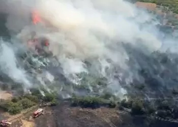 Balıkesir'de orman yangını çıktı