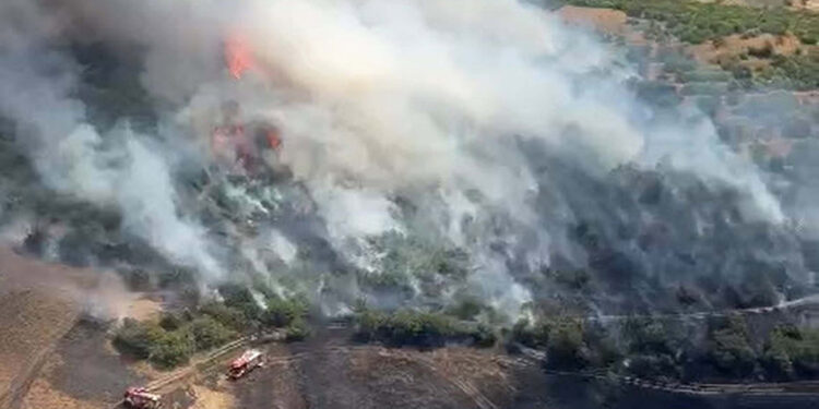 Balıkesir'de orman yangını çıktı