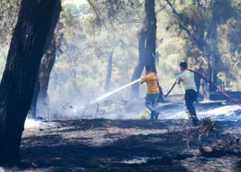 Balıkesir'deki orman yangını, 13 saatte kontrol altına alındı