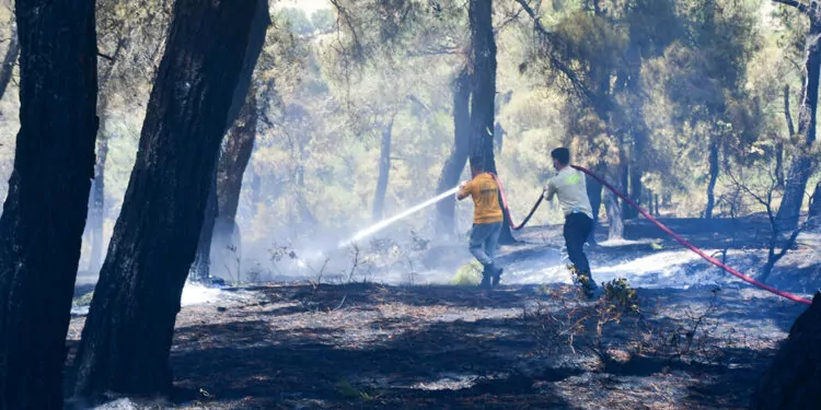 Balıkesir'deki orman yangını, 13 saatte kontrol altına alındı