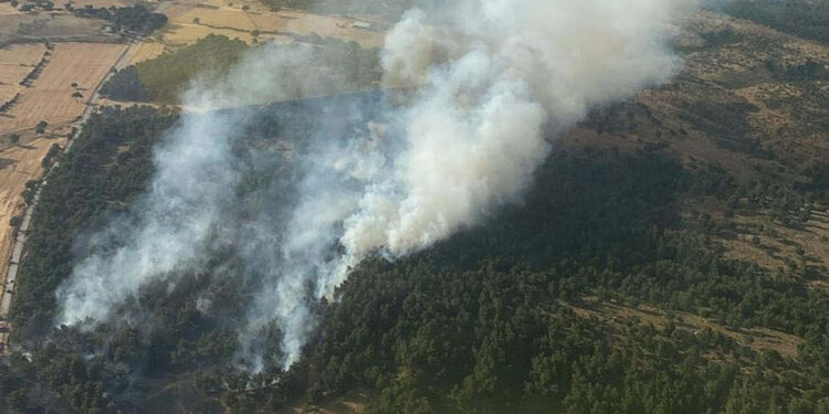 Bayramiç'teki orman yangınında 5 hektar alan zarar gördü
