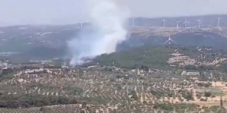 Bergama'da çıkan yangına müdahale sürüyor