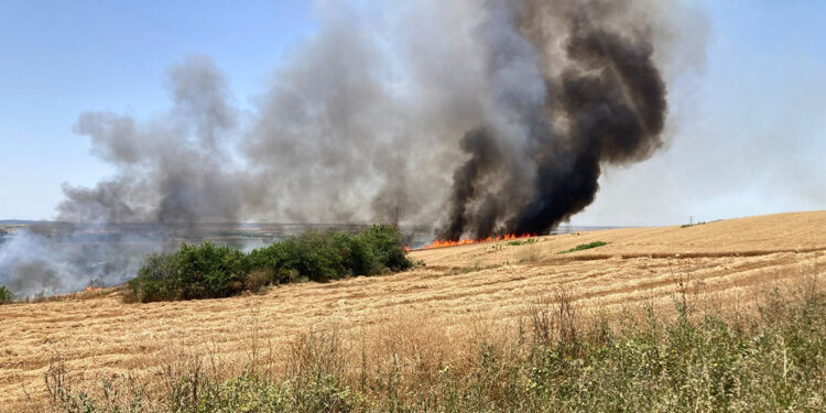 Biçerdöverden çıkan yangında 90 dekar ekili buğday yandı
