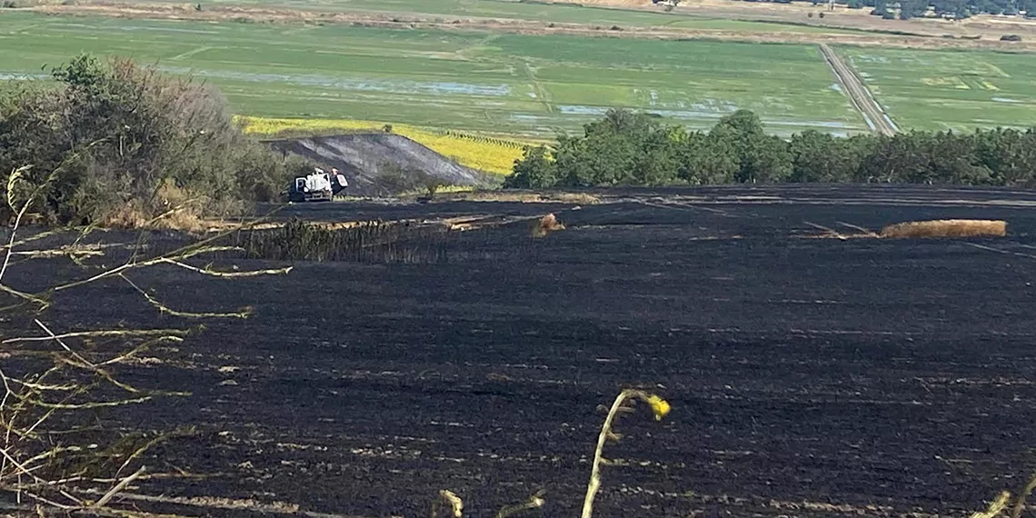 Biçerdöverden çıkan yangında 90 dekar ekili buğday yandı