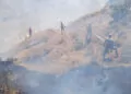 Bingöl'de örtü yangını