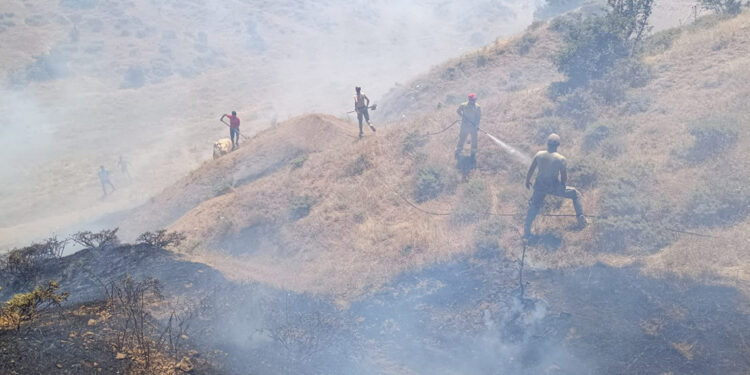 Bingöl'de örtü yangını