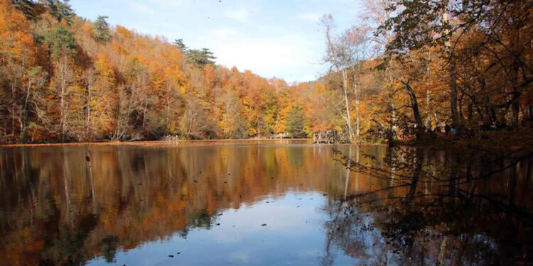 Bolu'da ormanlara giriş 1 Temmuz'dan itibaren yasak