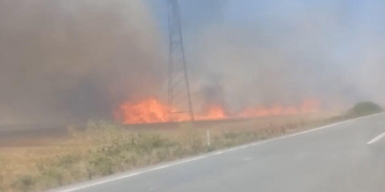 Buğday tarlasında yangın; 180 dönüm alan küle döndü