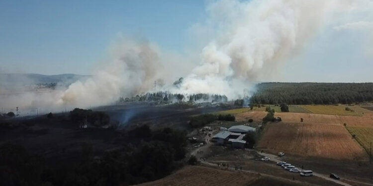 Bursa'daki anız yangını, BUÜ kampüsüne sıçradı