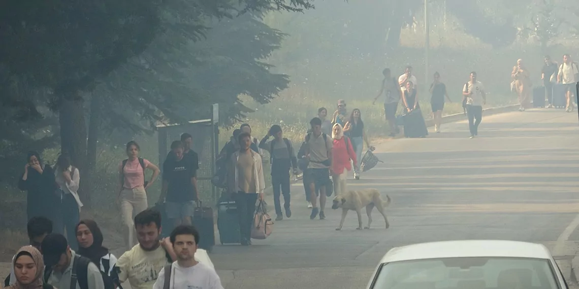 Bursa'daki anız yangını, bursa uludağ üniversitesi kampüsünün de içinde olduğu ormana sıçradı. Yangın bölgesinden yükselen dumanlar kentin birçok noktasından görülürken, bölgeye çok sayıda ekip sevk edildi.