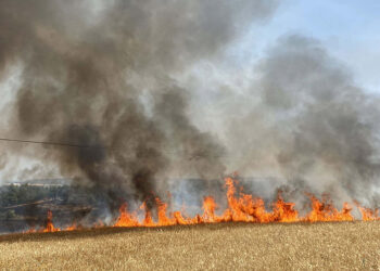 Çanakkale'de anız yangını, tarım arazisi ve ormana sıçradı