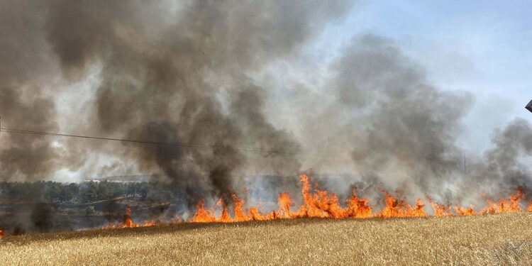 Çanakkale'de anız yangını, tarım arazisi ve ormana sıçradı