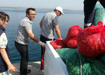 Çanakkale'de kaçak yolla avlanan 3 ton kum şırlanı ele geçirildi