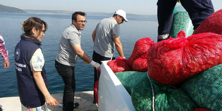 Çanakkale'de kaçak yolla avlanan 3 ton kum şırlanı ele geçirildi