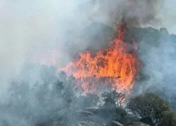 Çanakkale'de makilikte çıkan yangın, antik kente sıçradı