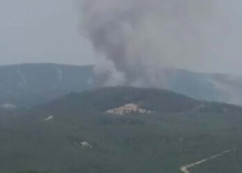 Çanakkale'de ormanda yangın; müdahale sürüyor