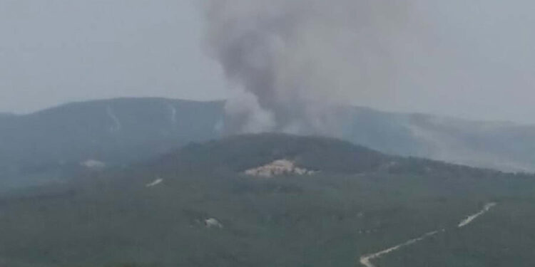 Çanakkale'de ormanda yangın; müdahale sürüyor