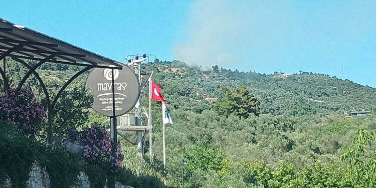 Çanakkale'de tarım arazisinde çıkan yangın ormana sıçradı