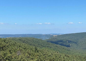 Çanakkale'nin Lapseki ilçesinde orman yangını
