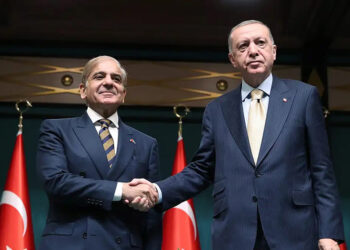 Cumhurbaşkanı Erdoğan, Pakistan Başbakanı ile görüştü