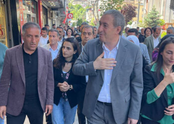 DEM Parti'li Oruç: Türkiye derhal erken seçime gitmelidir
