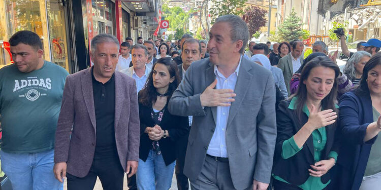 DEM Parti'li Oruç: Türkiye derhal erken seçime gitmelidir