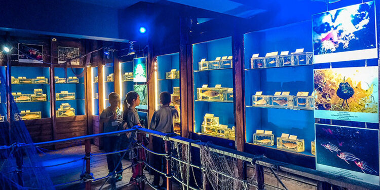 Deniz ürünleri mezarlığı, sözde müze boşaltıldı