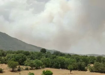 Denizli'de orman yangını çıktı