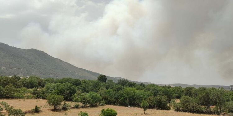Denizli'de orman yangını çıktı