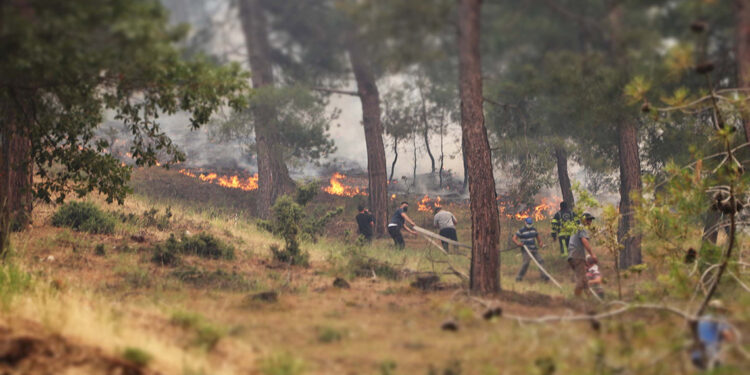 Denizli'deki orman yangını 2'nci günde kontrol altına alındı
