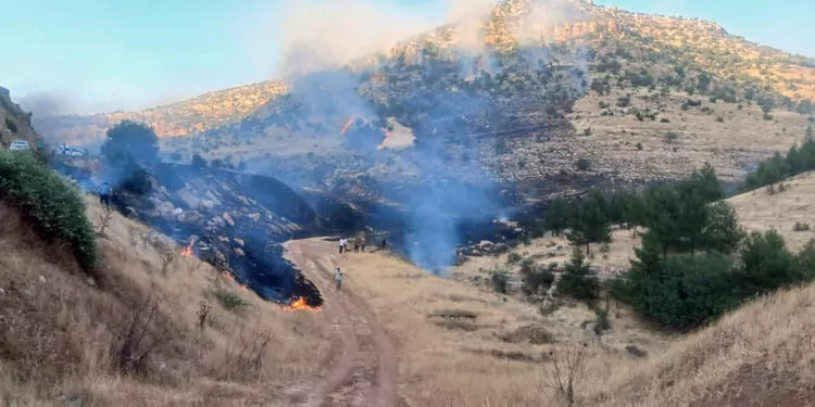 Derik'te 3 ayrı noktada yangın çıktı; 7 hektar orman yandı