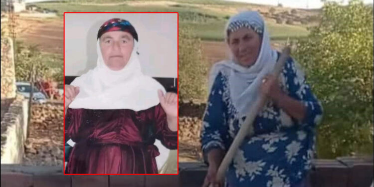 Diyarbakır-Mardin sınırındaki yangında 2 elti, can verdi